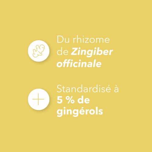 Gingembre 1500 mg 90 gélules (4)