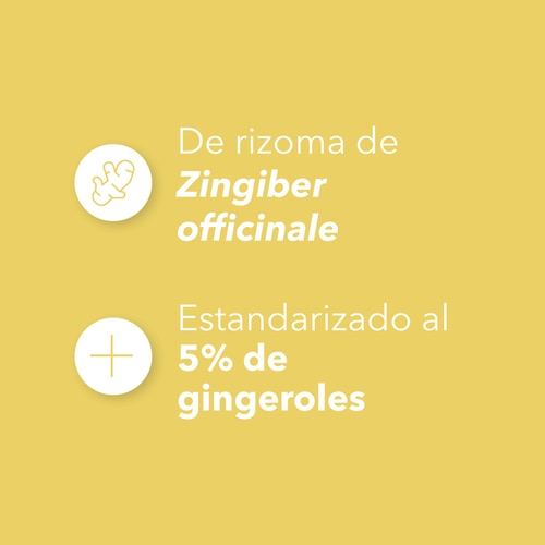 Jengibre 1500 mg 90 cápsulas (4)