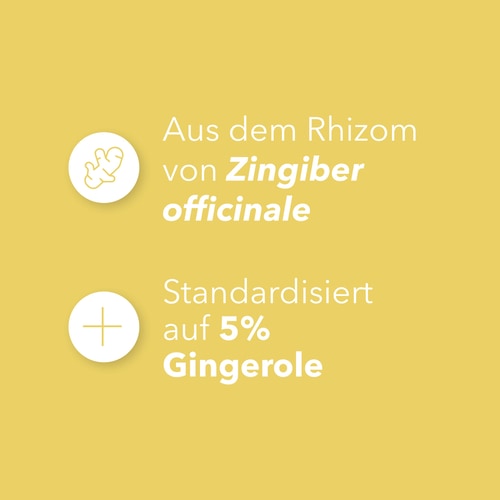 Ingwer 1500 mg 90 Kapseln (4)