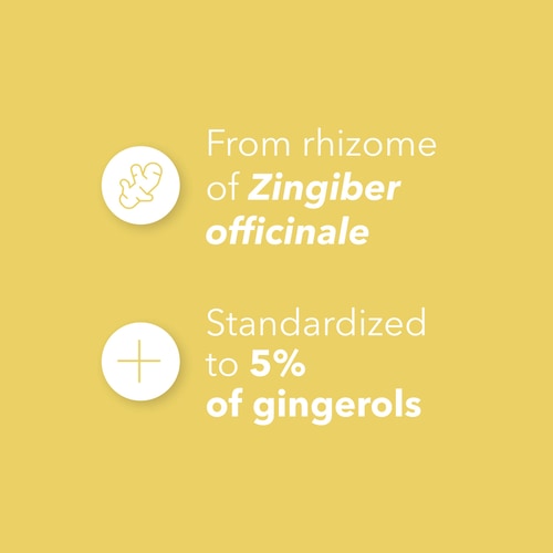 Ginger 1500 mg 90 caps (4)