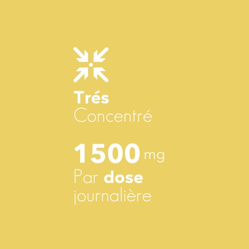 Gingembre 1500 mg 90 gélules (6)