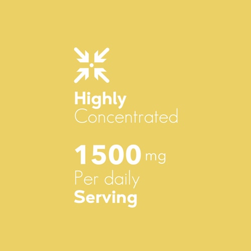 Ginger 1500 mg 90 caps (6)