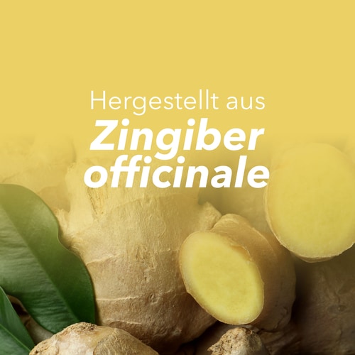 Ingwer 1500 mg 90 Kapseln (8)