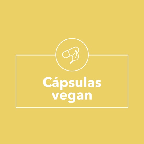 Gengibre 1500 mg 90 cápsulas (9)