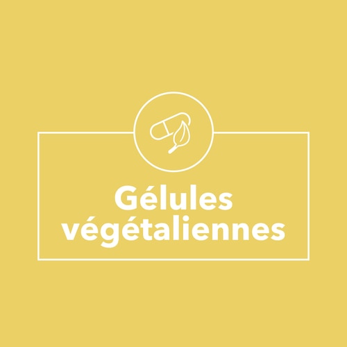 Gingembre 1500 mg 90 gélules (9)