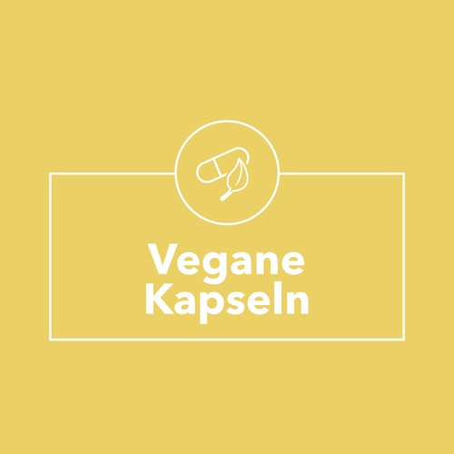 Ingwer 1500 mg 90 Kapseln (9)