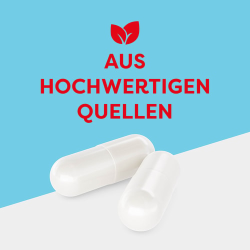 Acetyl-L-Carnitin 1000 mg 60 Kapseln (2)