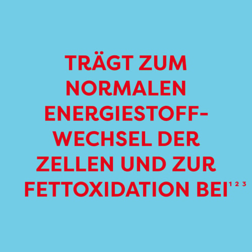 Acetyl-L-Carnitin 1000 mg 60 Kapseln (4)