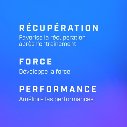 Flex - Kit de Renforcement des Avant-Bras (6)