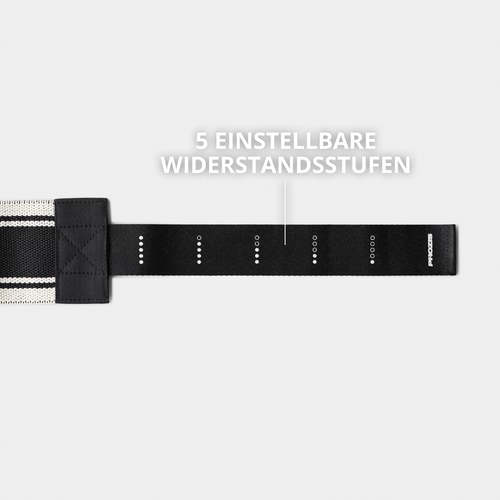 GluteFlow Widerstandsband  (2)