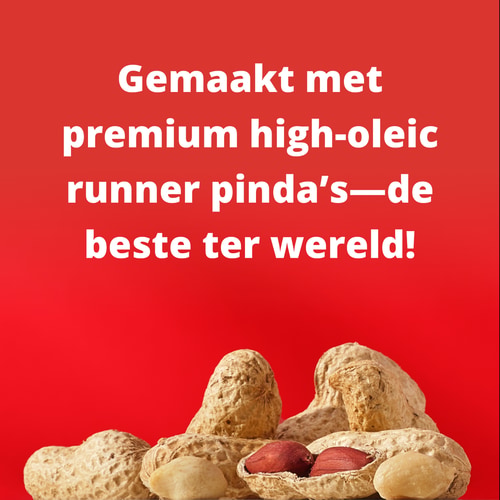 Peanut Whey Protein 450g (8)