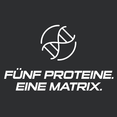 Whey Protein Fusion 700g (8)