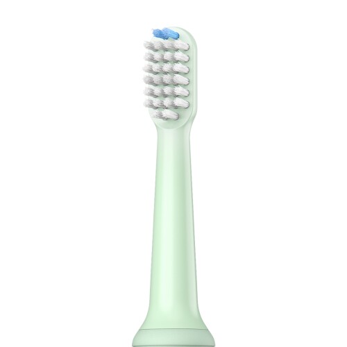 single head toothbrush