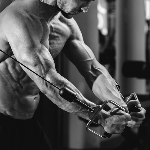 Prime Mass Gainer 2722 G Build Muscle Prozis