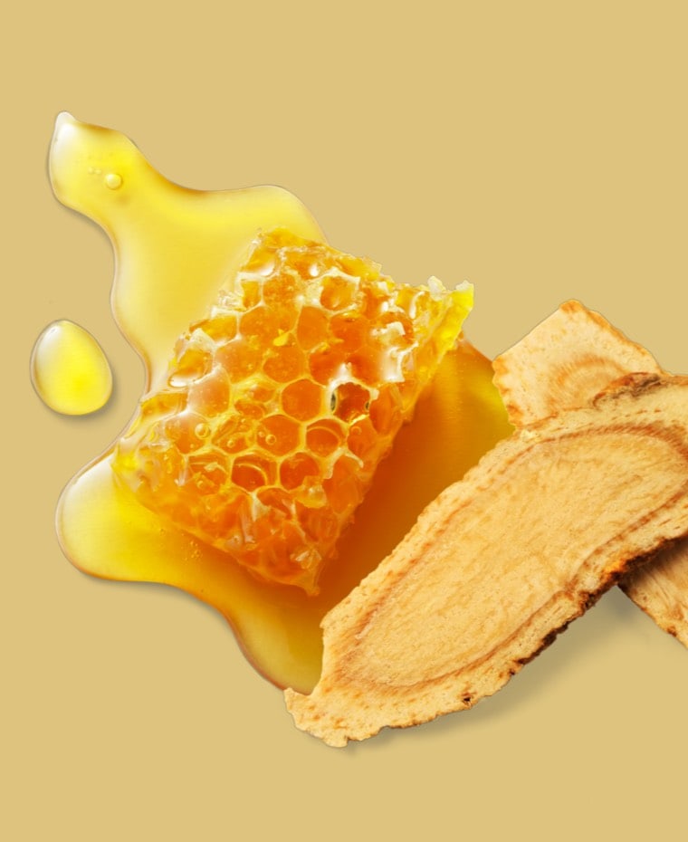 Ginseng Pappa Reale