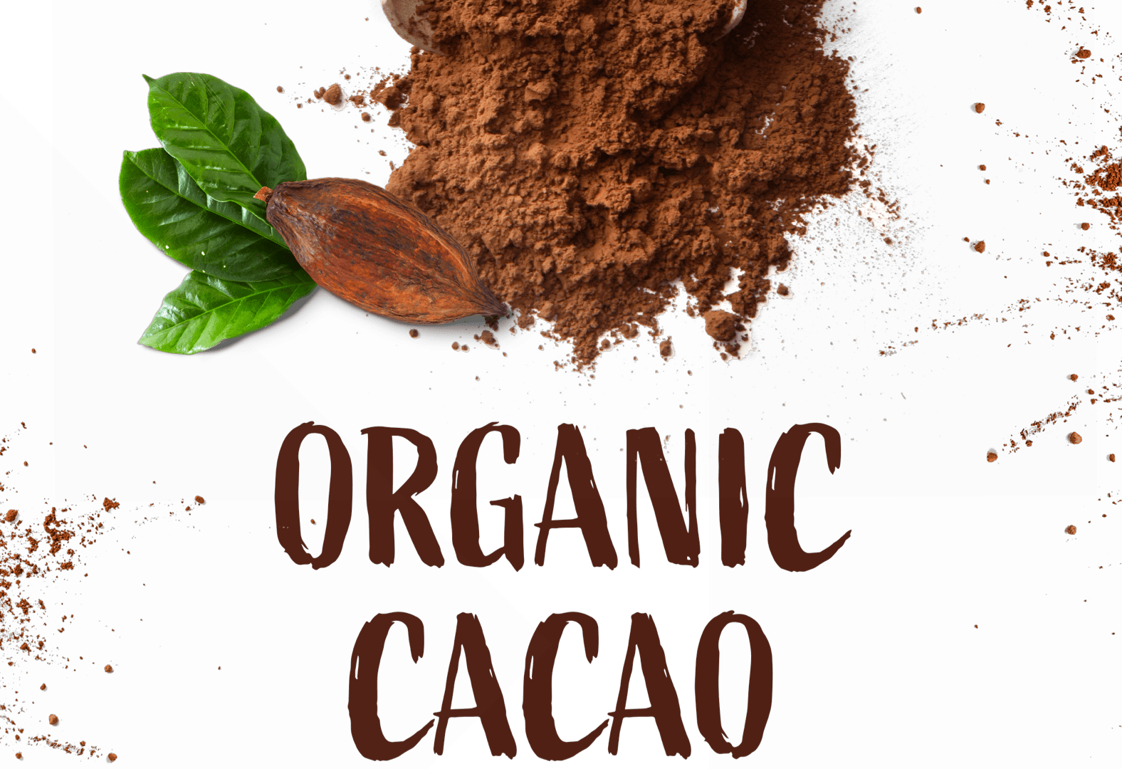 cacao en poudre