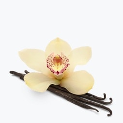 Real Whey Vanilla flavour