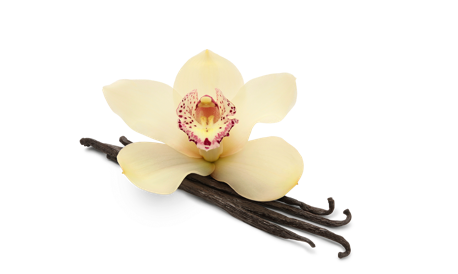 Prozis Sachet 100% Whey Prime Isolate