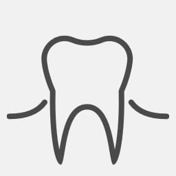 Prozis Organic Maca Benefits Organic Maca Benefits