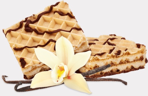 Protein Wafers Vanilla