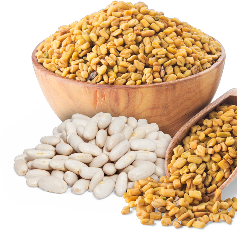 Prozis White Kidney Bean + Fenugreek