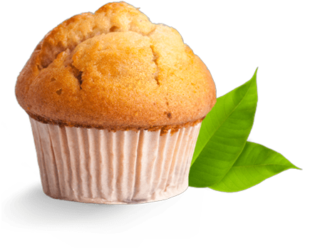 Muffins Regular flavour