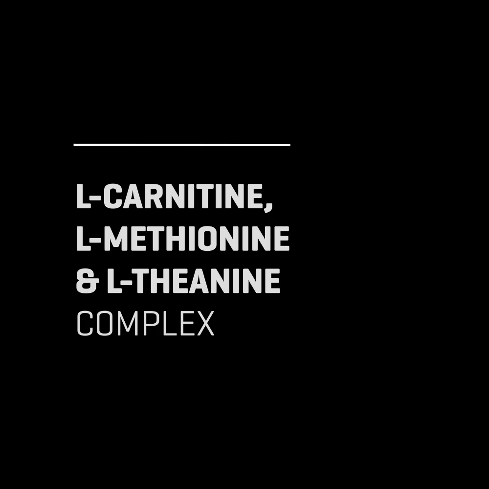 Acetyl L-Carnitine 180 caps - Weight Loss | Prozis