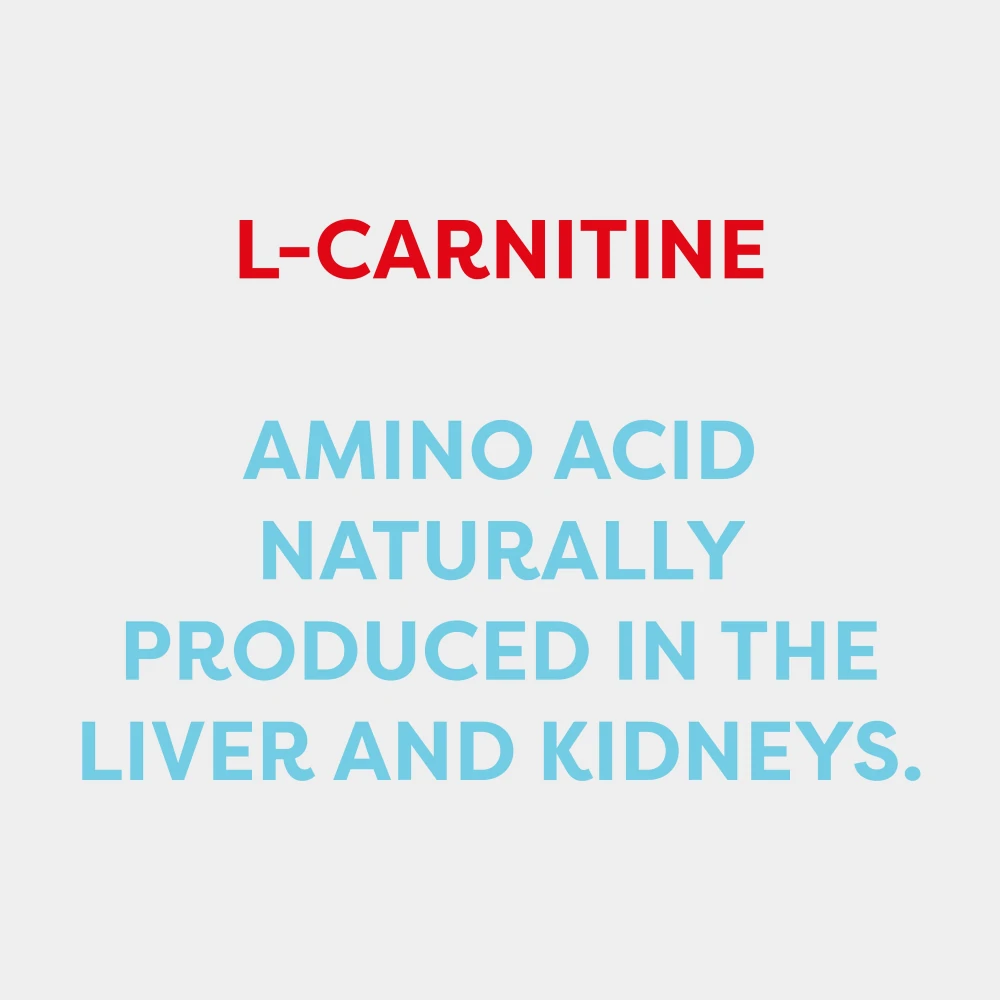 l carnitine weight loss mechanism The carnitine system and cancer metabolic plasticity