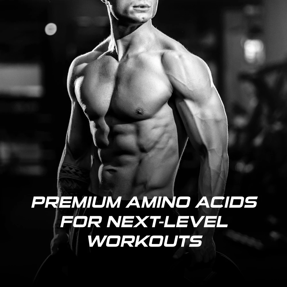 BCAA + Glutamine 11.6 oz, 29 servings - Build Muscle | Prozis