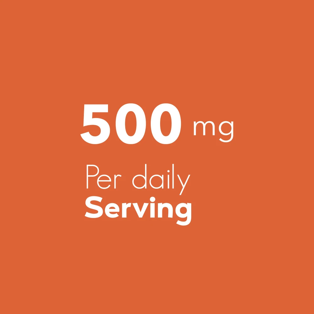 Guarana 500 mg 60 gélules (6)