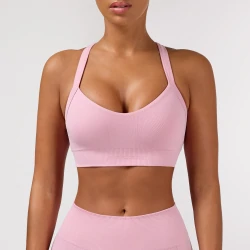 Reggiseno Sportivo Athleisure Aero 