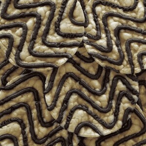 Rice with Dark Chocolate