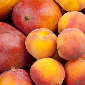 Mango-Peach