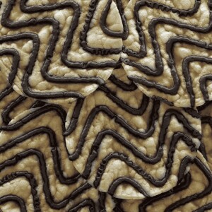 Reis mit dunkler Schokolade