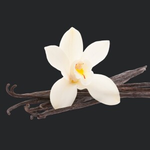 Vanilla