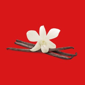 Vanilla