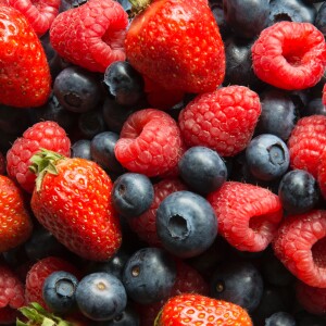 Frutos Silvestres