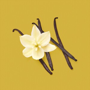 Vanilla