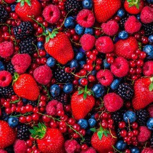 Fruits des Bois