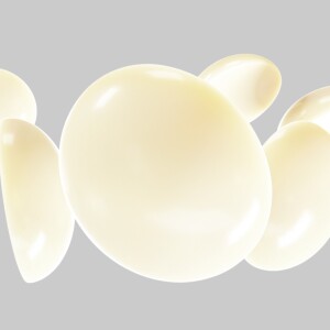 Chocolat Blanc 