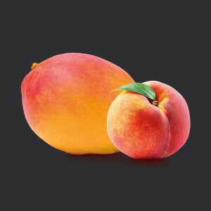 Mangue-Pêche