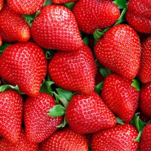 Aardbei