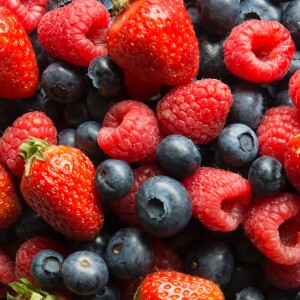 Fruits des Bois