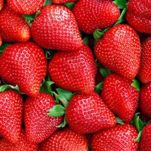 Erdbeere