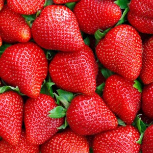 Erdbeere