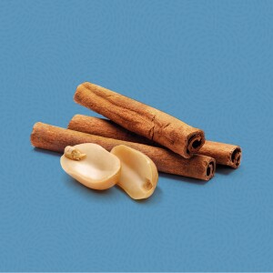 Cannelle