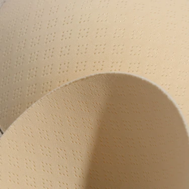 v1126709 prozis_bra-pads-20-nude_6-xss_nude_other1.webp