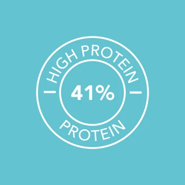 v1446041 prozis_meal-replacement-800-g_chocolate_flavor_25.webp