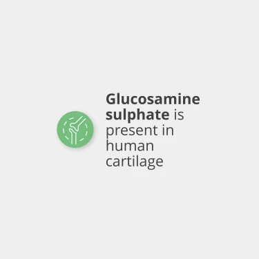 v1451796 prozis_glucosamine-sulphate-150-g_5.webp