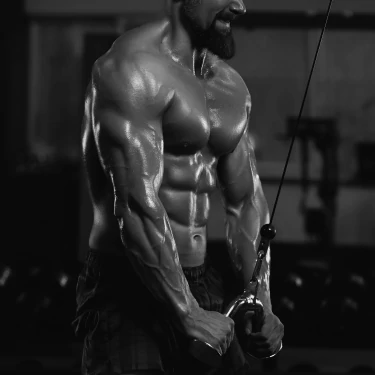 v1555648 prozis_tribus-max-60-capsules_5.webp